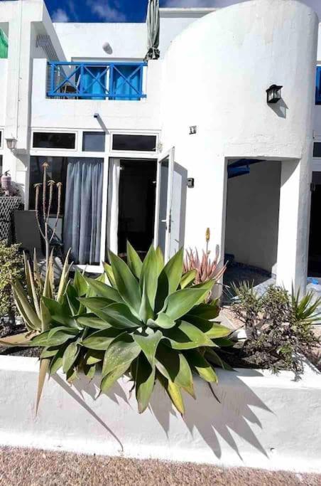 17 Puerto Del Carmen Blueshark Apartment Exterior photo